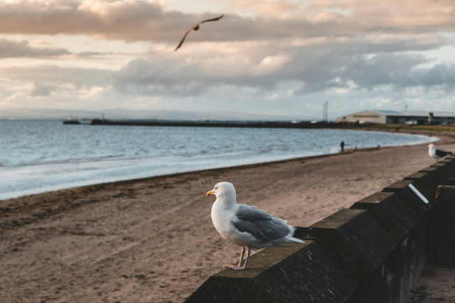 Largs beach